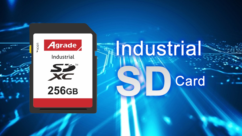 SD20210831B SD20210831B