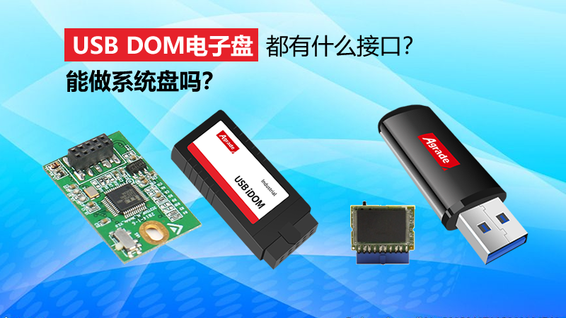 USB DOM电子盘都有什么接口 USB DOM电子盘都有什么接口